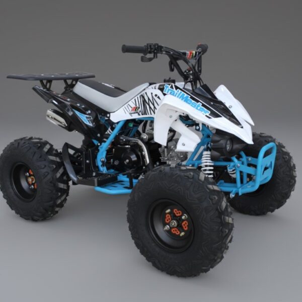 Trailmaster Mid 125R Sport 8" K125